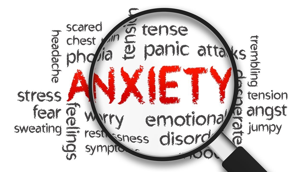 Climate Anxiety in Westchester: How to Find Emotional Grounding