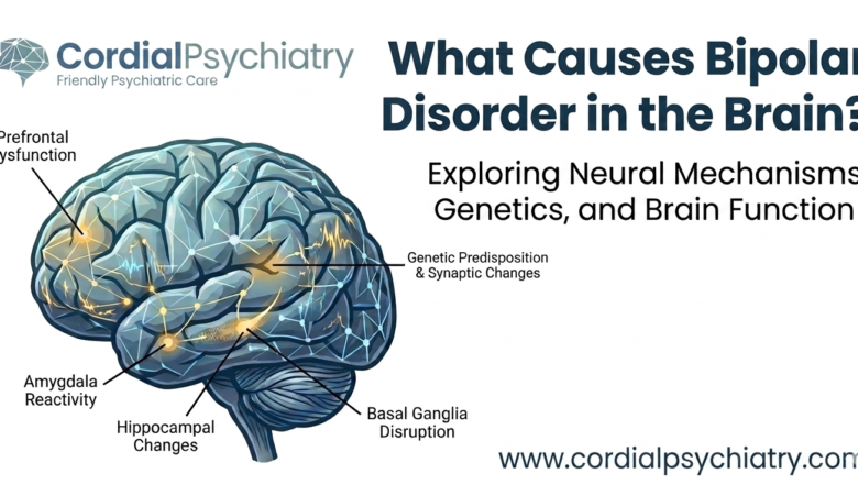 What Causes Bipolar Disorder in the Brain