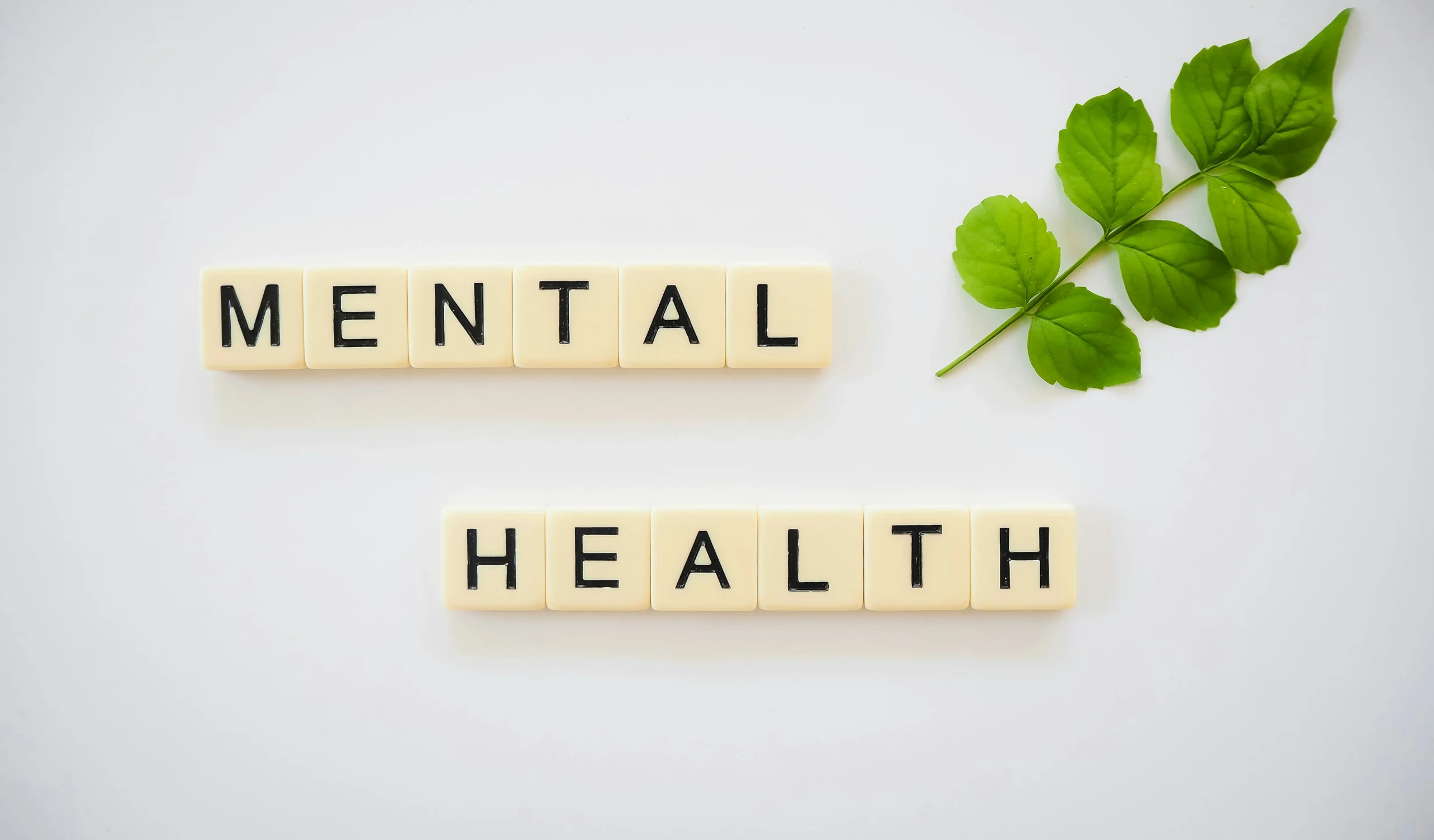 Top 10 Mental Health Companies in New York